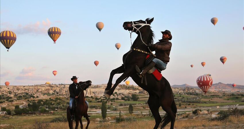 Cappadocia Horse Safari