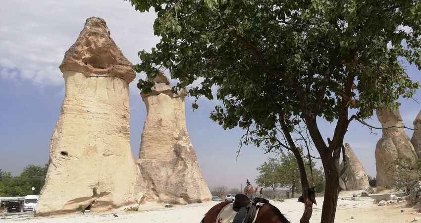 Best’s of Turkey Tour